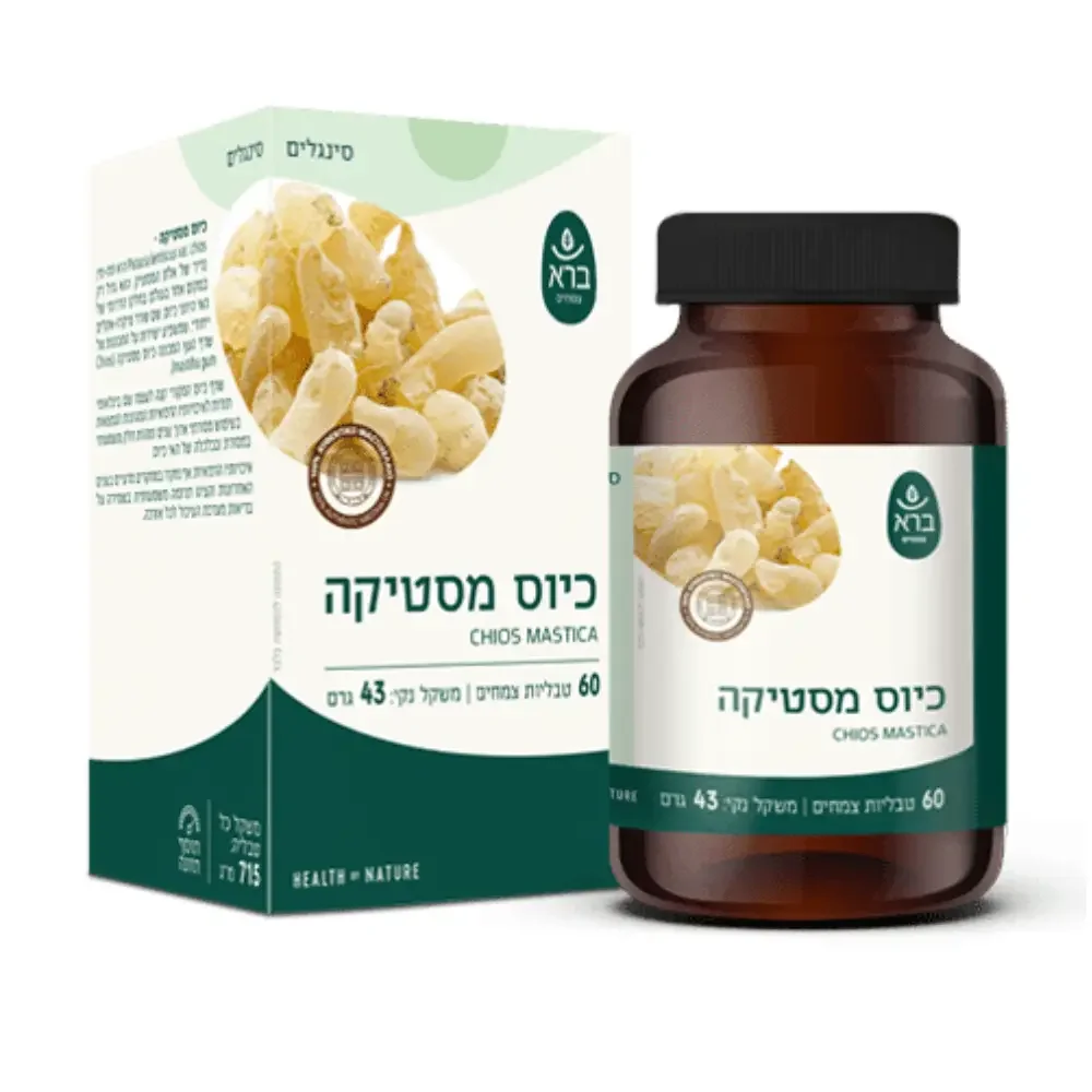 כיוס מסטיקה